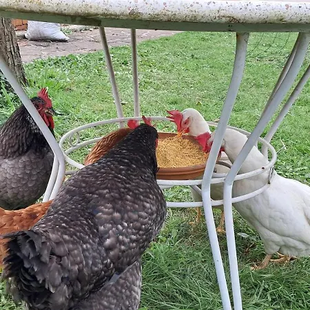 Сasa de vacaciones Casa Grande Con Jardin Santa Cruz De Bezana