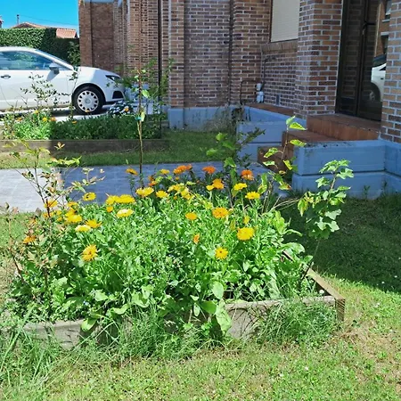 Casa Grande Con Jardin