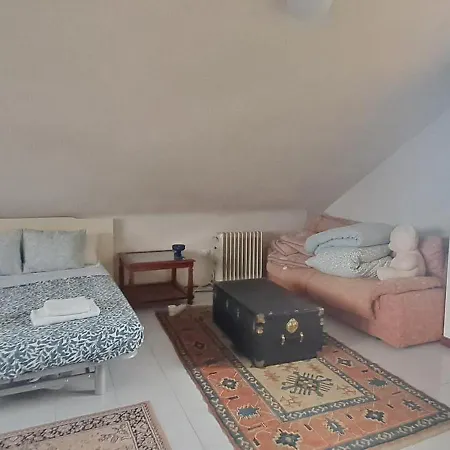 Casa Grande Con Jardin