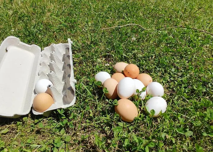 Casa Grande Con Jardin