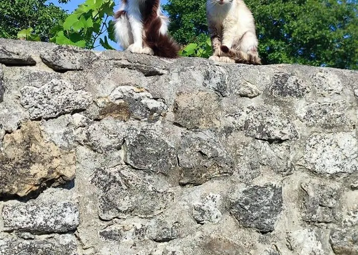 Casa Grande Con Jardin *