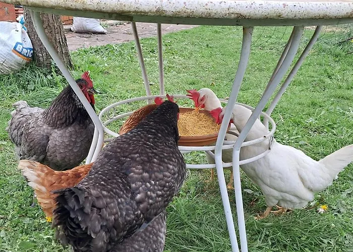 Holiday home Casa Grande Con Jardin Santa Cruz De Bezana