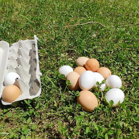 Casa Grande Con Jardin